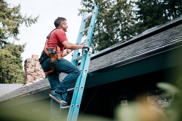 Best Skylight Installation and Repair  in Swarthmore, PA